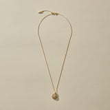 Elysian Shell Necklace | Gold