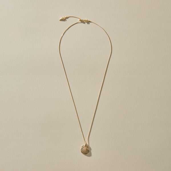 Elysian Shell Necklace | Gold