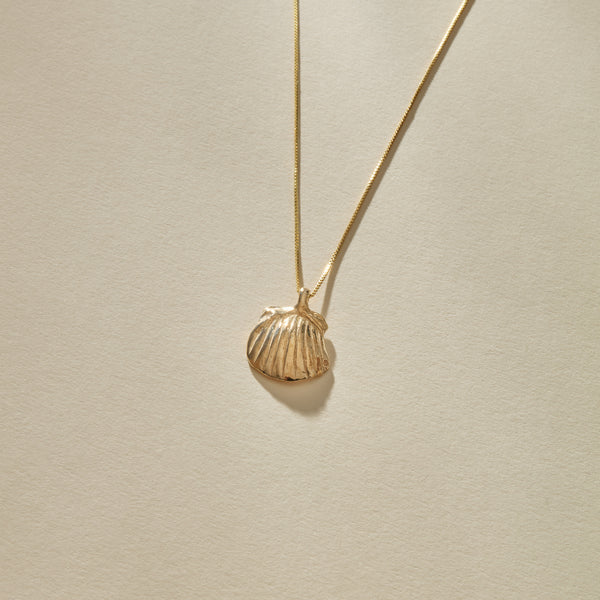 Elysian Shell Necklace | Gold