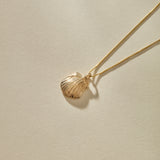 Elysian Shell Necklace | Gold